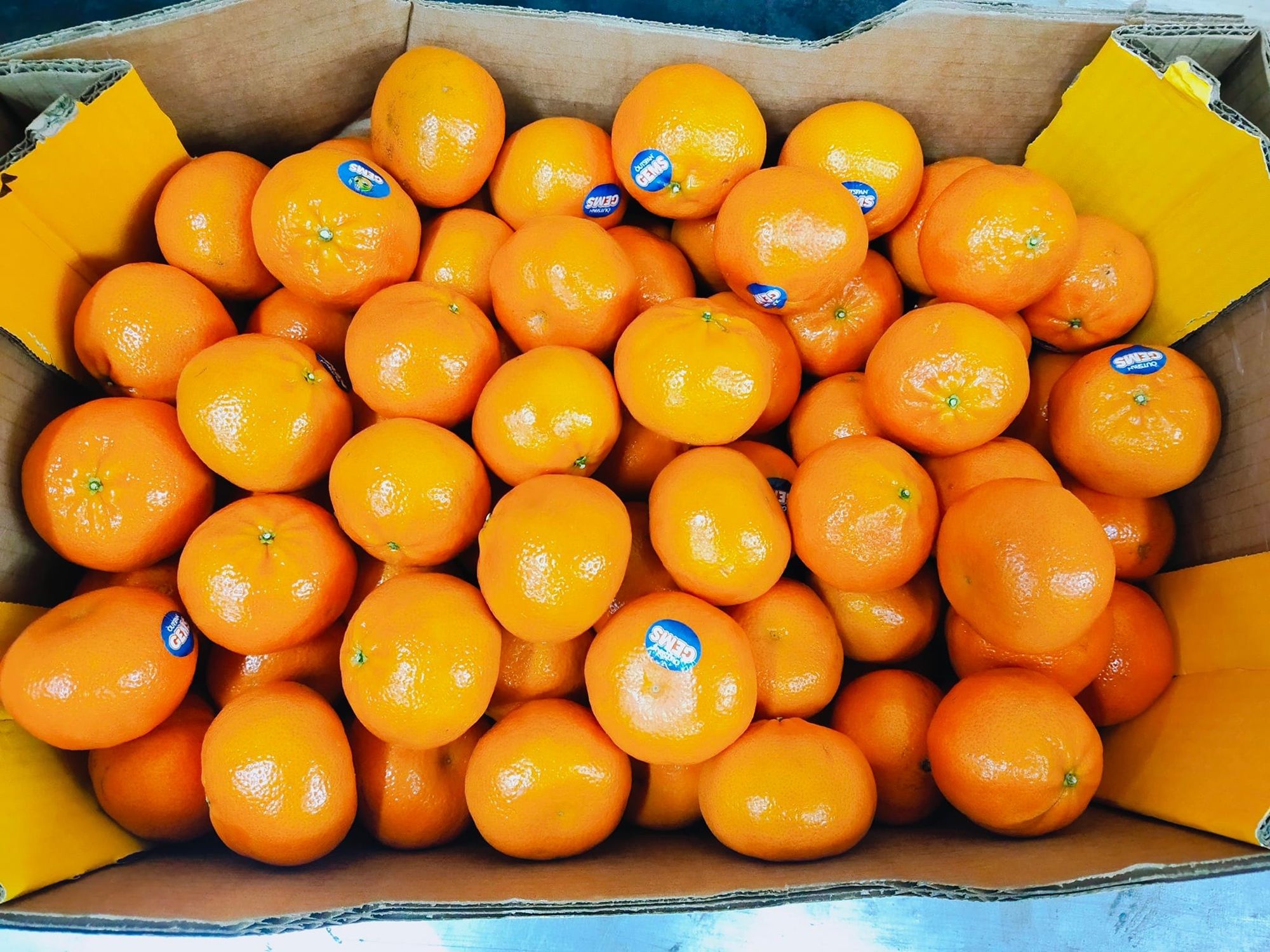 474976655_1715957078980948_4218166188393869519_n1