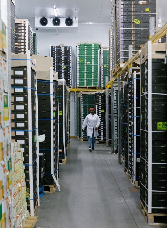 484030625_592314763808217_2445153724078458419_n11