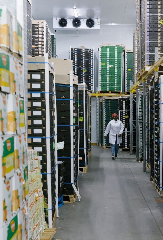 484030625_592314763808217_2445153724078458419_n2