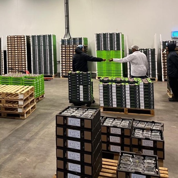 485656711_1214896773976728_8606312771843602314_n11