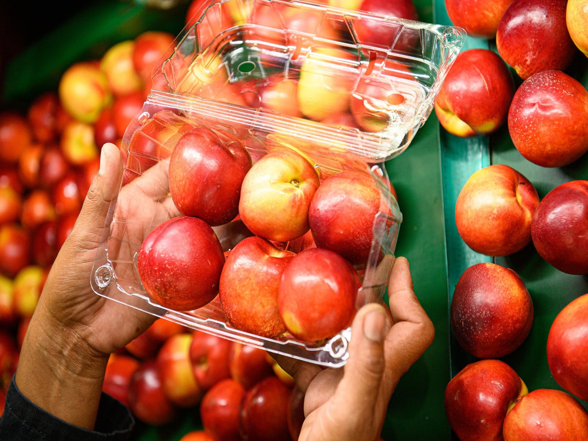 486905377_9349668891818915_331350758356766528_n1