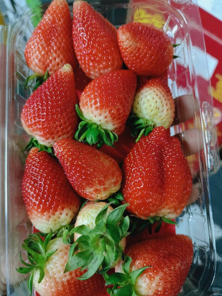 491956968_979983464307320_2823193032482689306_n1