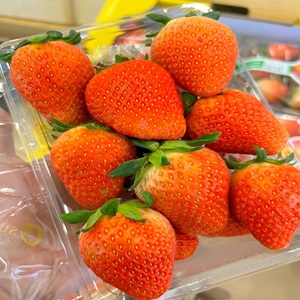 497548150_680351854750524_8552082370529614842_n1