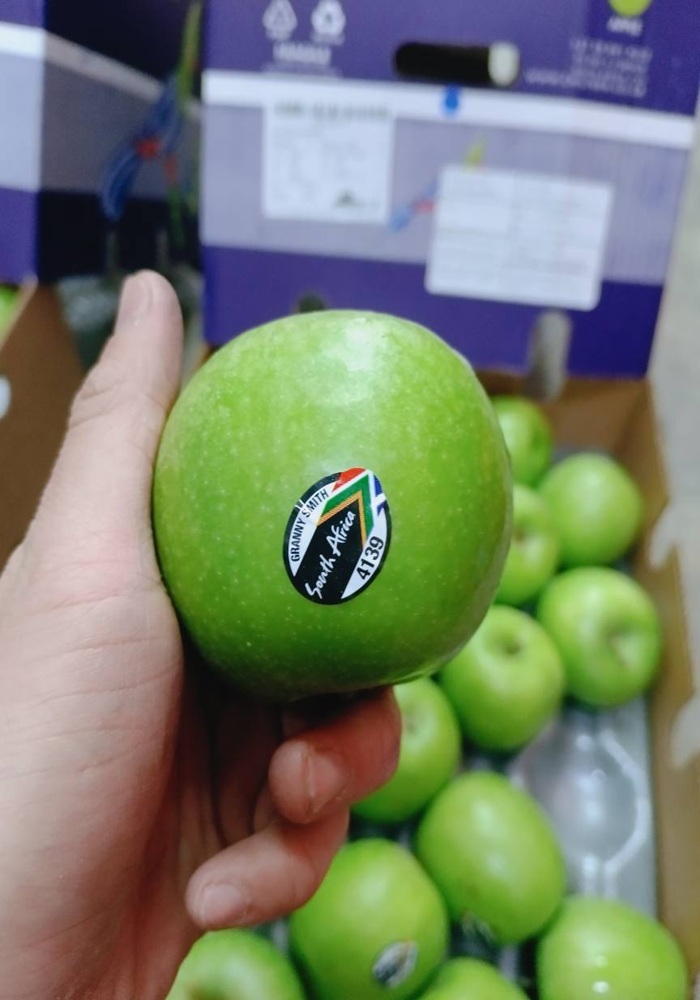 511146336_1023105696661763_8149491825341229899_n1