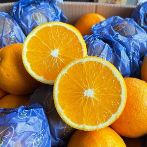 518329099_1182766180538728_2457005101100121708_n1