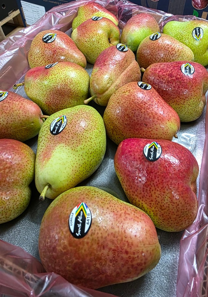 524690750_1184275657046779_409697488488842995_n1