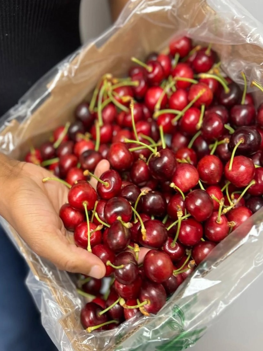 562778965_18533936440065332_2929236625245903472_n1