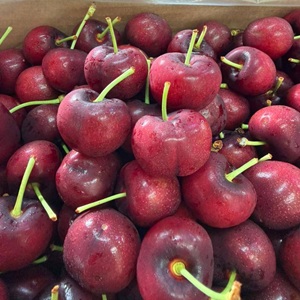 567529375_1267188442096501_6548726705587786634_n1