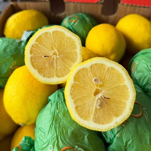 580452810_1284119937070018_7271483936265166658_n1