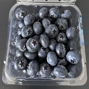 WhatsApp Image 2025-10-30 at 09.40.01_544d01461