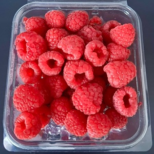 WhatsApp Image 2025-10-30 at 09.40.01_9112e9721