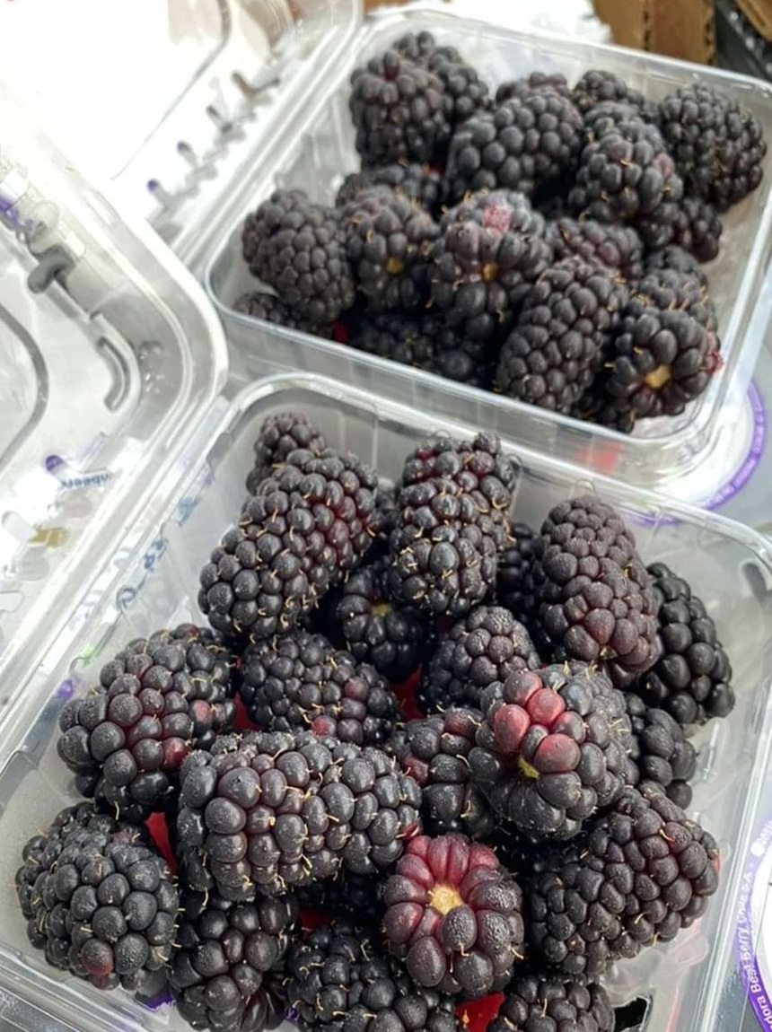 img_2_16856978751691