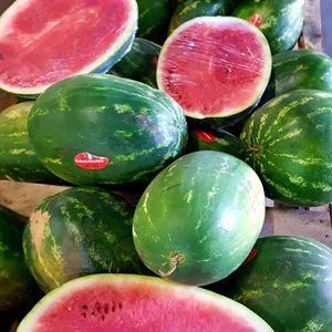 43629546_1862474053866474_5221198124621496320_n1