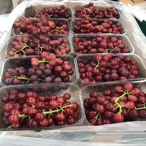 46759359_2023345371079460_2430678570134142976_n1