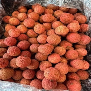 469802282_122146575284336298_4846322023368878070_n1