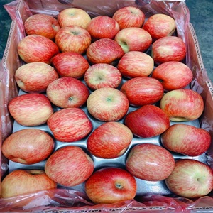 469869482_1684881408755182_256997274224112355_n1