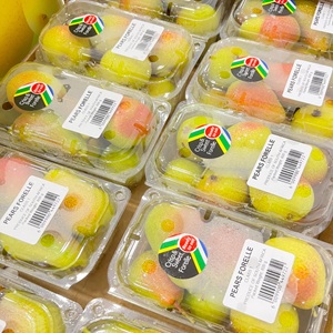 481176609_625065026945874_3361933076385835653_n12