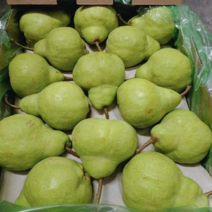 504934319_1012723617699971_2651088130465286714_n1