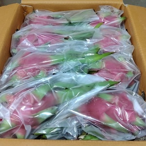 508384958_17934884847024898_7709494317871849379_n1