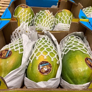 Papaya 051