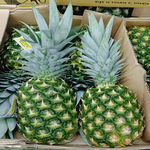 Pineapples 5 (2)1
