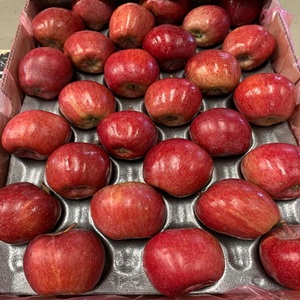 img_42_16843992556541